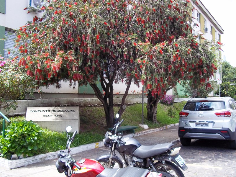 Apartamento no Residencial Santana