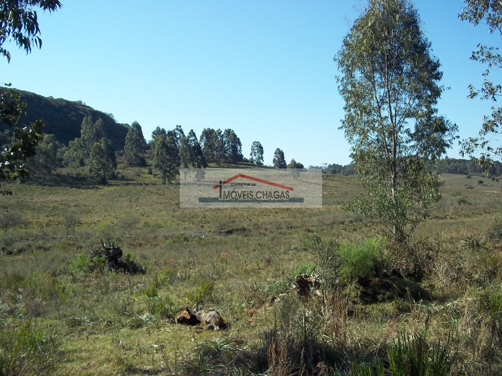 Im�veis Chagas