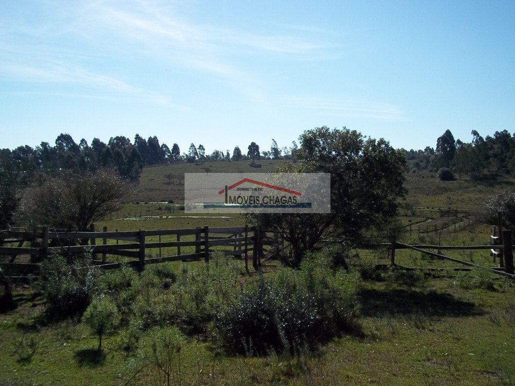 Im�veis Chagas