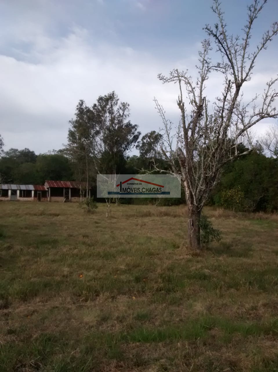 Im�veis Chagas