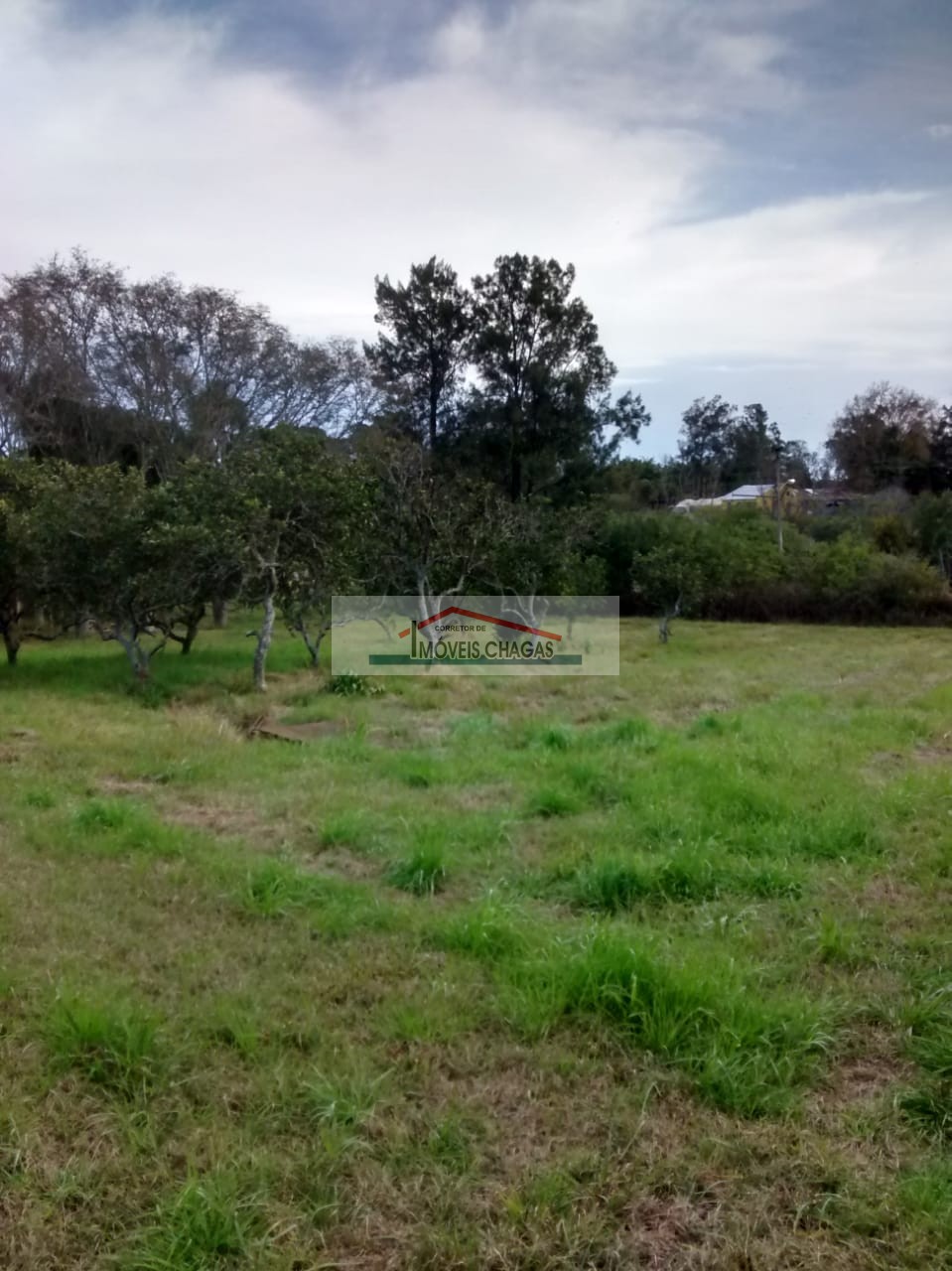 Im�veis Chagas