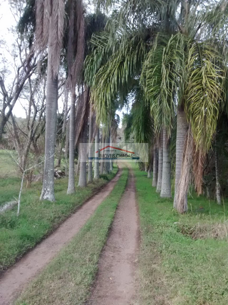 Im�veis Chagas