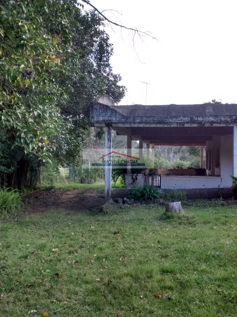 Im�veis Chagas