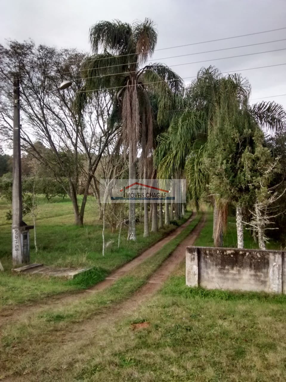 Im�veis Chagas