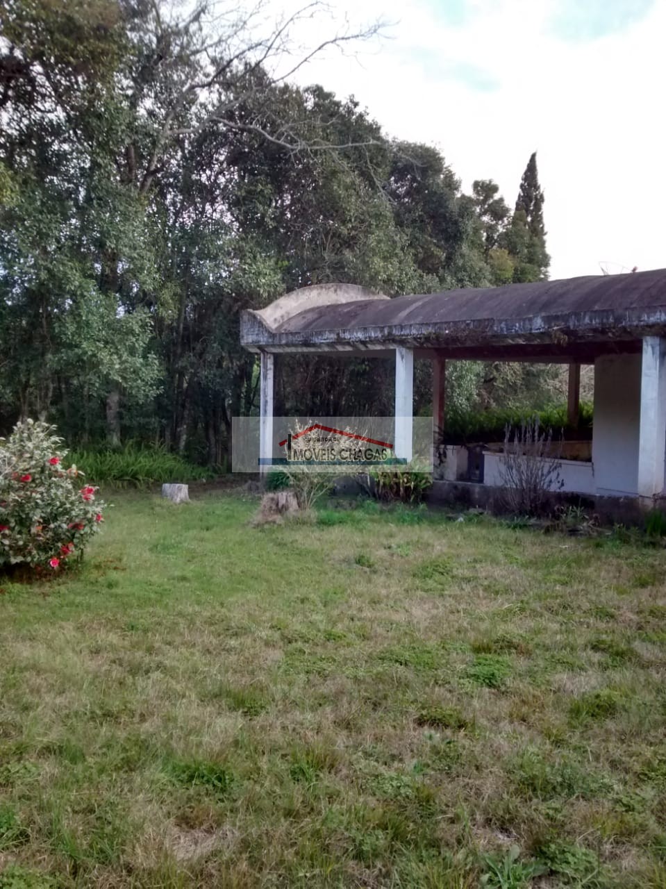 Im�veis Chagas