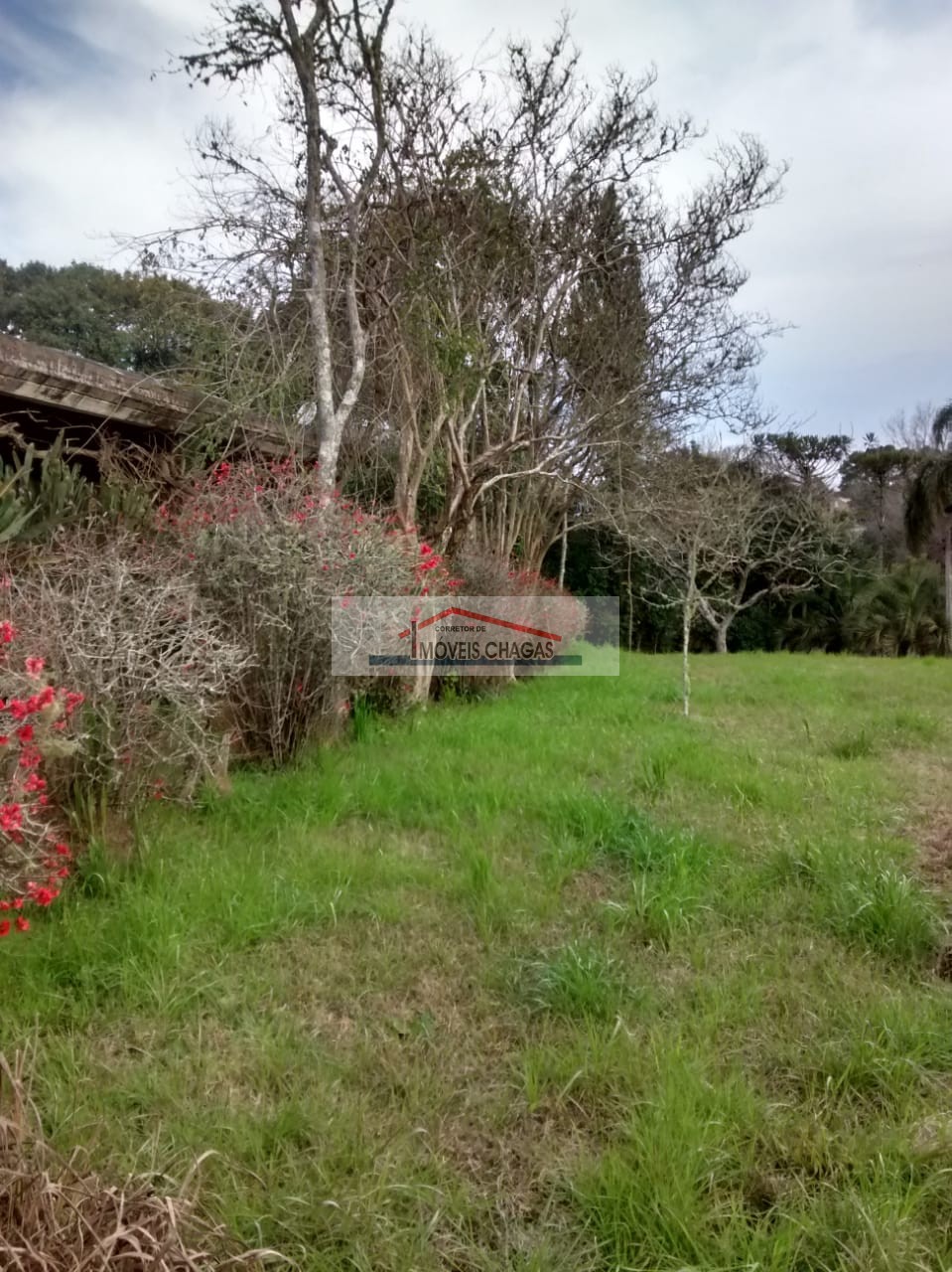 Im�veis Chagas
