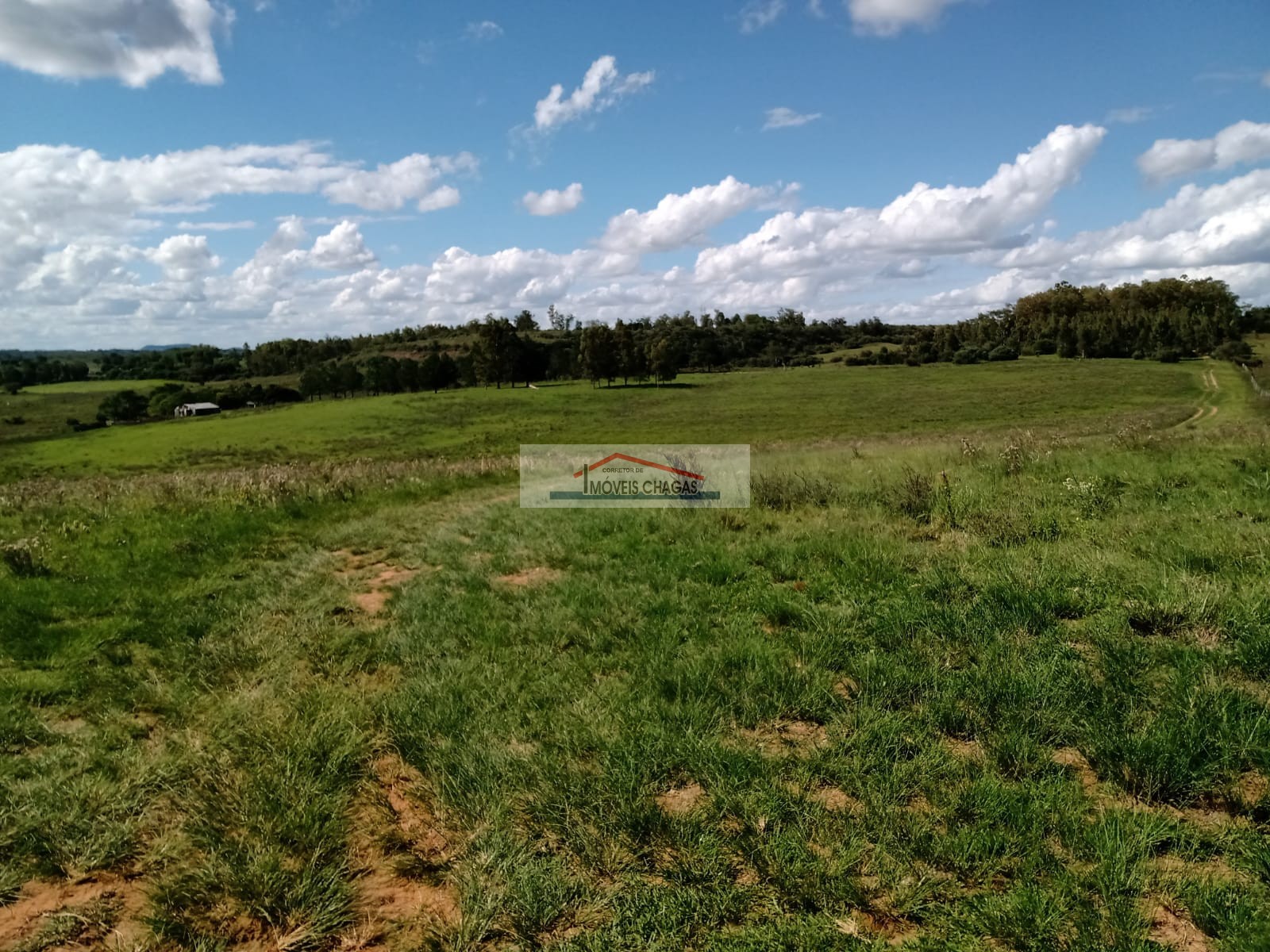 Im�veis Chagas